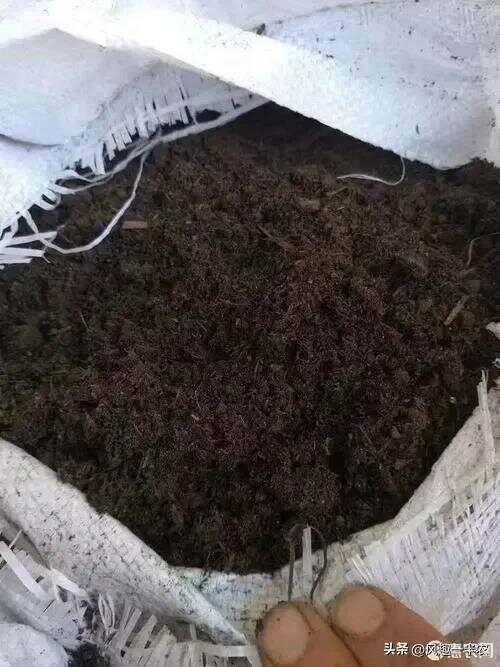 种植丝瓜、南瓜最忌怕哪些施肥方法？如何施肥才高产